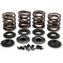 Set arcuri oem replacement steel retainer KIBBLEWHITE 20-20850