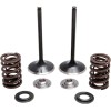 Kit pentru supapă de admisie și arc cu fixator din titan KIBBLEWHITE 30-31230