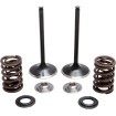 Kit pentru supapă de admisie și arc cu fixator din titan KIBBLEWHITE 30-31230 Kit pentru supapă de admisie și arc cu fixator din titan KIBBLEWHITE 30-31230 thumb