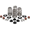 Set de arcuri cu şaibă conică din oțel KIBBLEWHITE 20-21400