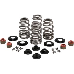 Set de arcuri cu şaibă conică din oțel KIBBLEWHITE 20-21400 Set de arcuri cu şaibă conică din oțel KIBBLEWHITE 20-21400