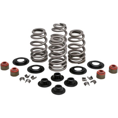 Set de arcuri cu şaibă conică din oțel KIBBLEWHITE 20-21400