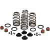Set arcuri beehive steel retainer KIBBLEWHITE 20-21550
