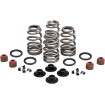 Set arcuri beehive steel retainer KIBBLEWHITE 20-21550 thumb