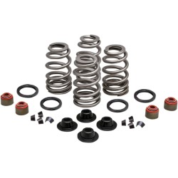 Set arcuri beehive steel retainer KIBBLEWHITE 20-21550