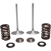 Supapă de admisie KT CRF450R 17+ KIBBLEWHITE 30-32780 thumb
