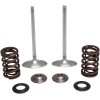 Set supape de admisie KT KX250F 17+ KIBBLEWHITE 40-41450