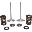 Set supape de admisie KT KX250F 17+ KIBBLEWHITE 40-41450 Set supape de admisie KT KX250F 17+ KIBBLEWHITE 40-41450 thumb