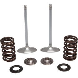 Set supape de admisie KT KX250F 17+ KIBBLEWHITE 40-41450 Set supape de admisie KT KX250F 17+ KIBBLEWHITE 40-41450