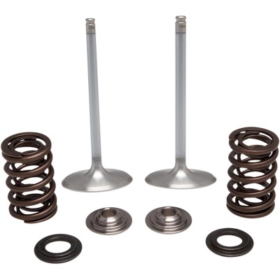Set supape de admisie KT KX250F 17+ KIBBLEWHITE 40-41450