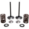 Arc KT INT TRX450R 04- KIBBLEWHITE 30-33200