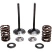 Arc KT INT TRX450R 04- KIBBLEWHITE 30-33200 Arc KT INT TRX450R 04- KIBBLEWHITE 30-33200 thumb