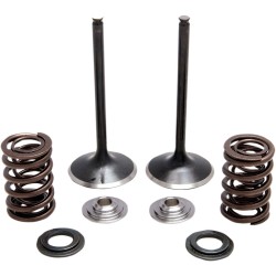 Arc KT INT TRX450R 04- KIBBLEWHITE 30-33200 Arc KT INT TRX450R 04- KIBBLEWHITE 30-33200