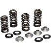 Set arcuri YZ250F 2019 KIBBLEWHITE 80-82300 Set arcuri YZ250F 2019 KIBBLEWHITE 80-82300 thumb