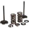 Set de supape pentru conversie KT YZ250F 2019 KIBBLEWHITE 80-82350