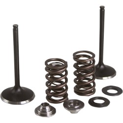 Set de supape pentru conversie KT YZ250F 2019 KIBBLEWHITE 80-82350