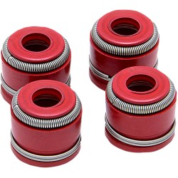 Garnitură VG 4/PK YZ250F 2019 KIBBLEWHITE 80-82345 Garnitură VG 4/PK YZ250F 2019 KIBBLEWHITE 80-82345