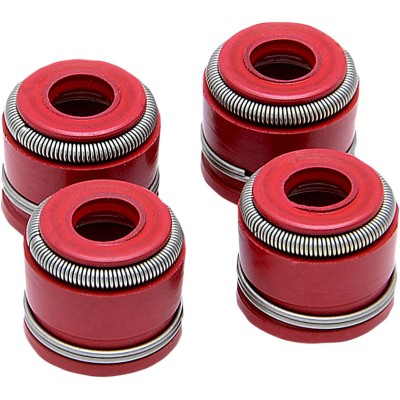 Garnitură VG 4/PK YZ250F 2019 KIBBLEWHITE 80-82345