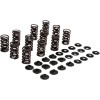 Set arcuri oțel YXZ1000R KIBBLEWHITE 80-81700