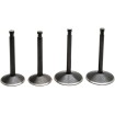 Set supape 70-83 SPORTSTER KIBBLEWHITE 20-22300 Set supape 70-83 SPORTSTER KIBBLEWHITE 20-22300 thumb