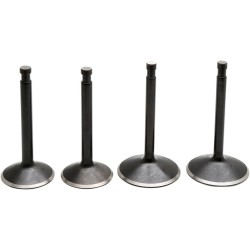Set supape 70-83 SPORTSTER KIBBLEWHITE 20-22300 Set supape 70-83 SPORTSTER KIBBLEWHITE 20-22300