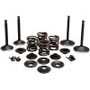 Set supape 70-83 SPT KIBBLEWHITE 20-22350