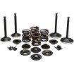 Set supape 70-83 SPT KIBBLEWHITE 20-22350 Set supape 70-83 SPT KIBBLEWHITE 20-22350 thumb