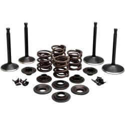 Set supape 70-83 SPT KIBBLEWHITE 20-22350 Set supape 70-83 SPT KIBBLEWHITE 20-22350