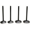 Set supape 84-98 EVO KIBBLEWHITE 20-22600 Set supape 84-98 EVO KIBBLEWHITE 20-22600 thumb