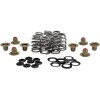 Set arcuri BHIVE M8 .625 KIBBLEWHITE 20-21850
