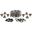Set arcuri BHIVE M8 .625 KIBBLEWHITE 20-21850 Set arcuri BHIVE M8 .625 KIBBLEWHITE 20-21850 thumb