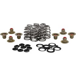 Set arcuri BHIVE M8 .625 KIBBLEWHITE 20-21850 Set arcuri BHIVE M8 .625 KIBBLEWHITE 20-21850