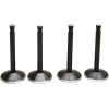 Set supape PANHEAD KIBBLEWHITE 20-22100