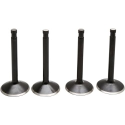 Set supape PANHEAD KIBBLEWHITE 20-22100 Set supape PANHEAD KIBBLEWHITE 20-22100