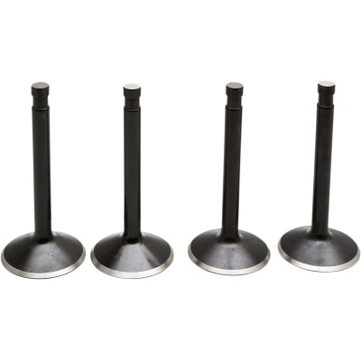 Set supape PANHEAD KIBBLEWHITE 20-22100