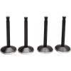 Supapă kt SHOVEL 74 66-77 KIBBLEWHITE 20-22400