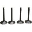 Supapă kt SHOVEL 74 66-77 KIBBLEWHITE 20-22400 Supapă kt SHOVEL 74 66-77 KIBBLEWHITE 20-22400 thumb