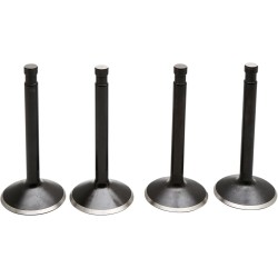 Supapă kt SHOVEL 74 66-77 KIBBLEWHITE 20-22400 Supapă kt SHOVEL 74 66-77 KIBBLEWHITE 20-22400