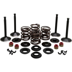 Motor KT SHOVEL 7466-77 KIBBLEWHITE 20-22450 Motor KT SHOVEL 7466-77 KIBBLEWHITE 20-22450