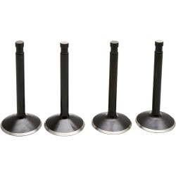 Supapă kt SHOVEL 80 78-83 KIBBLEWHITE 20-22500