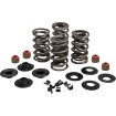 Set arcuri 05-17 TC/XL KIBBLEWHITE 20-23500 Set arcuri 05-17 TC/XL KIBBLEWHITE 20-23500 thumb