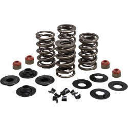 Set arcuri 05-17 TC/XL KIBBLEWHITE 20-23500 Set arcuri 05-17 TC/XL KIBBLEWHITE 20-23500