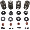 Set de arcuri 05-17 TC/XL KIBBLEWHITE 20-23600