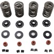 Set de arcuri 05-17 TC/XL KIBBLEWHITE 20-23600 Set de arcuri 05-17 TC/XL KIBBLEWHITE 20-23600 thumb