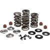 Set arcuri 05-17 TC/XL KIBBLEWHITE 20-23550