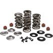 Set arcuri 05-17 TC/XL KIBBLEWHITE 20-23550 Set arcuri 05-17 TC/XL KIBBLEWHITE 20-23550 thumb