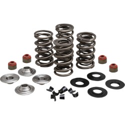 Set arcuri 05-17 TC/XL KIBBLEWHITE 20-23550 Set arcuri 05-17 TC/XL KIBBLEWHITE 20-23550