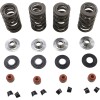 Set arcuri 05-17 TC/XL KIBBLEWHITE 20-23650