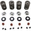 Set arcuri 05-17 TC/XL KIBBLEWHITE 20-23650 Set arcuri 05-17 TC/XL KIBBLEWHITE 20-23650 thumb