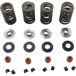 Set arcuri 05-17 TC/XL KIBBLEWHITE 20-23650 Set arcuri 05-17 TC/XL KIBBLEWHITE 20-23650